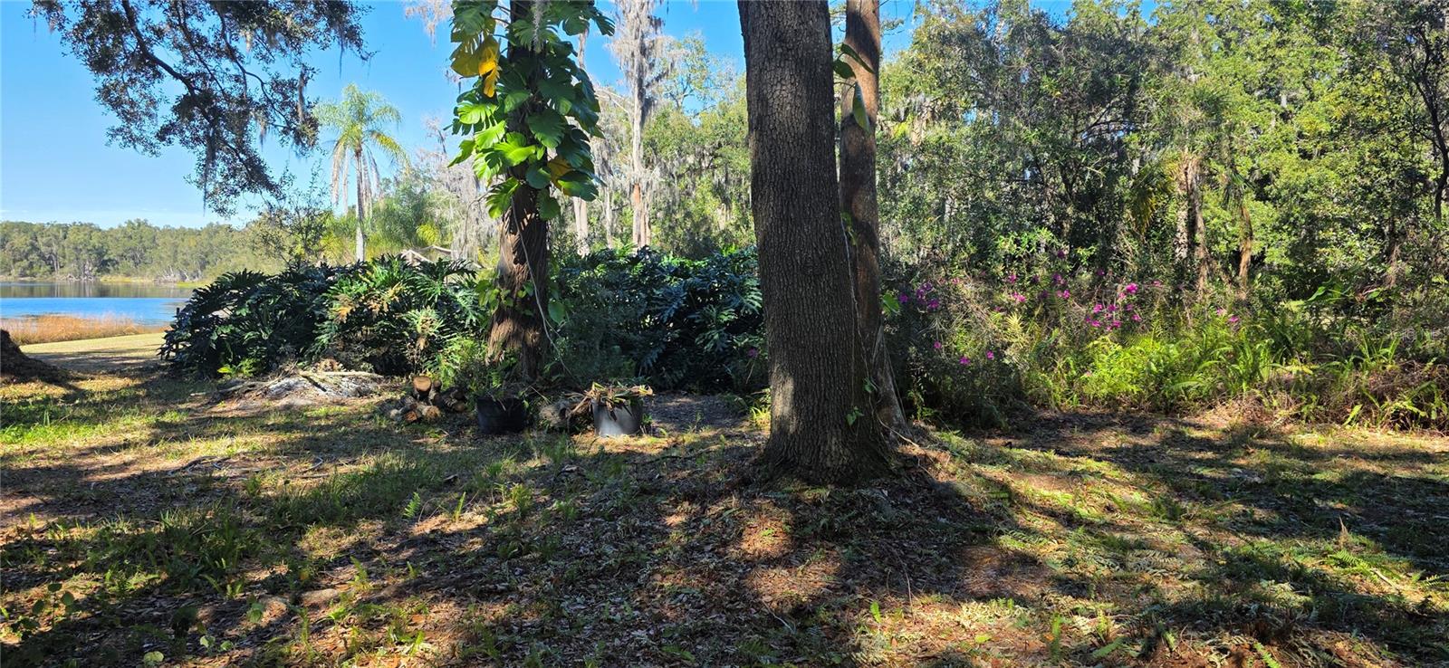 9906 GUNN HWY, ODESSA, FL — photo 18