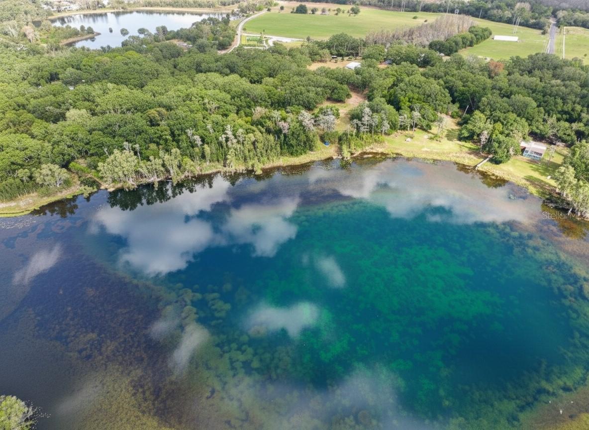 9906 GUNN HWY, ODESSA, FL — photo 23