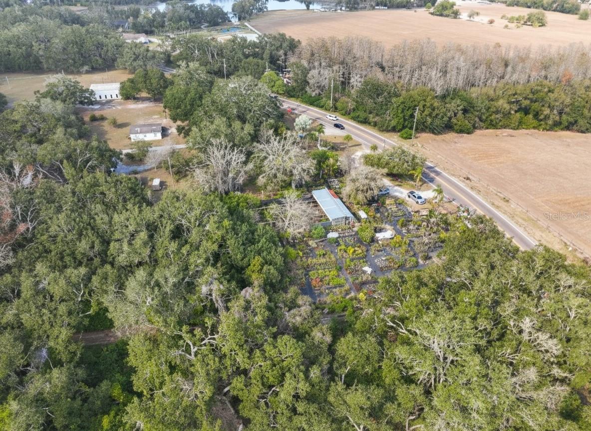 9906 GUNN HWY, ODESSA, FL — photo 27