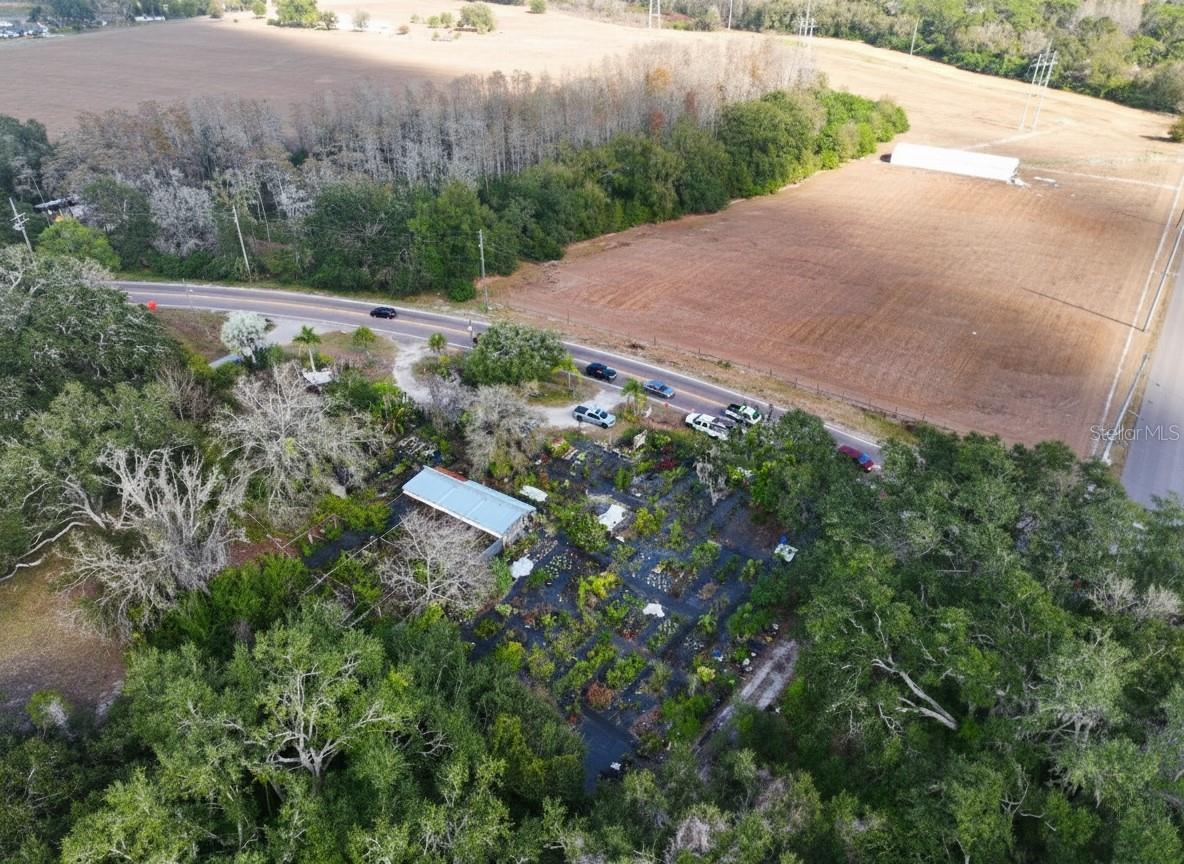 9906 GUNN HWY, ODESSA, FL — photo 14