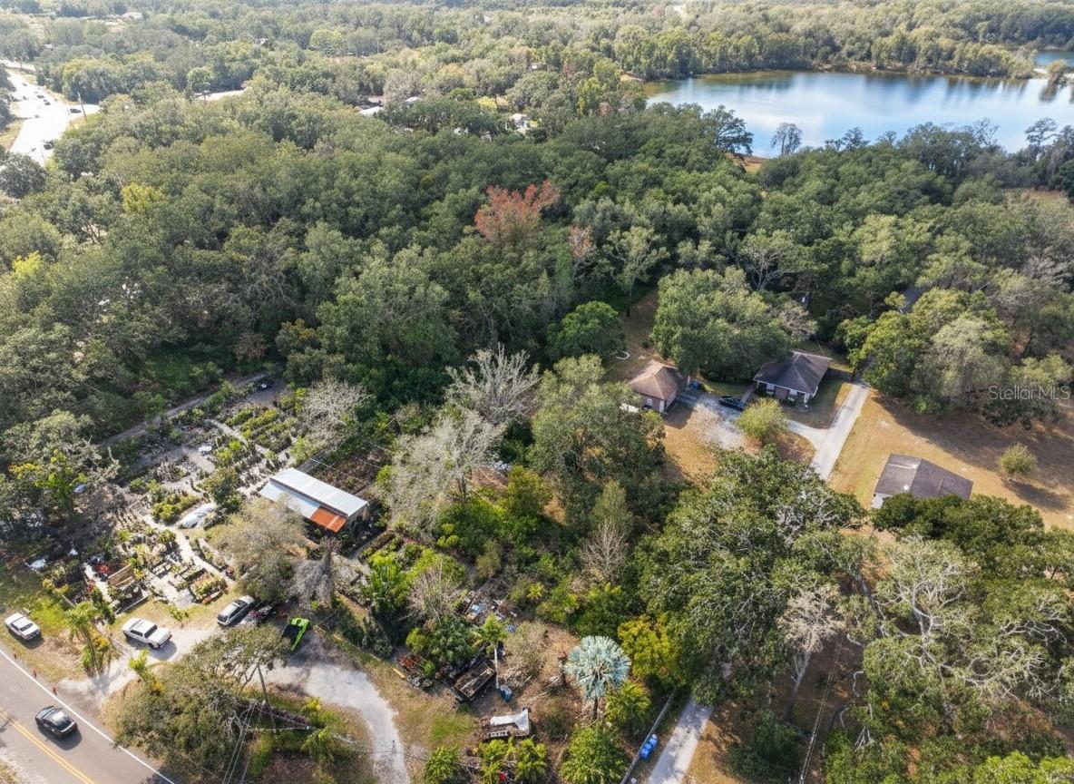9906 GUNN HWY, ODESSA, FL — photo 29