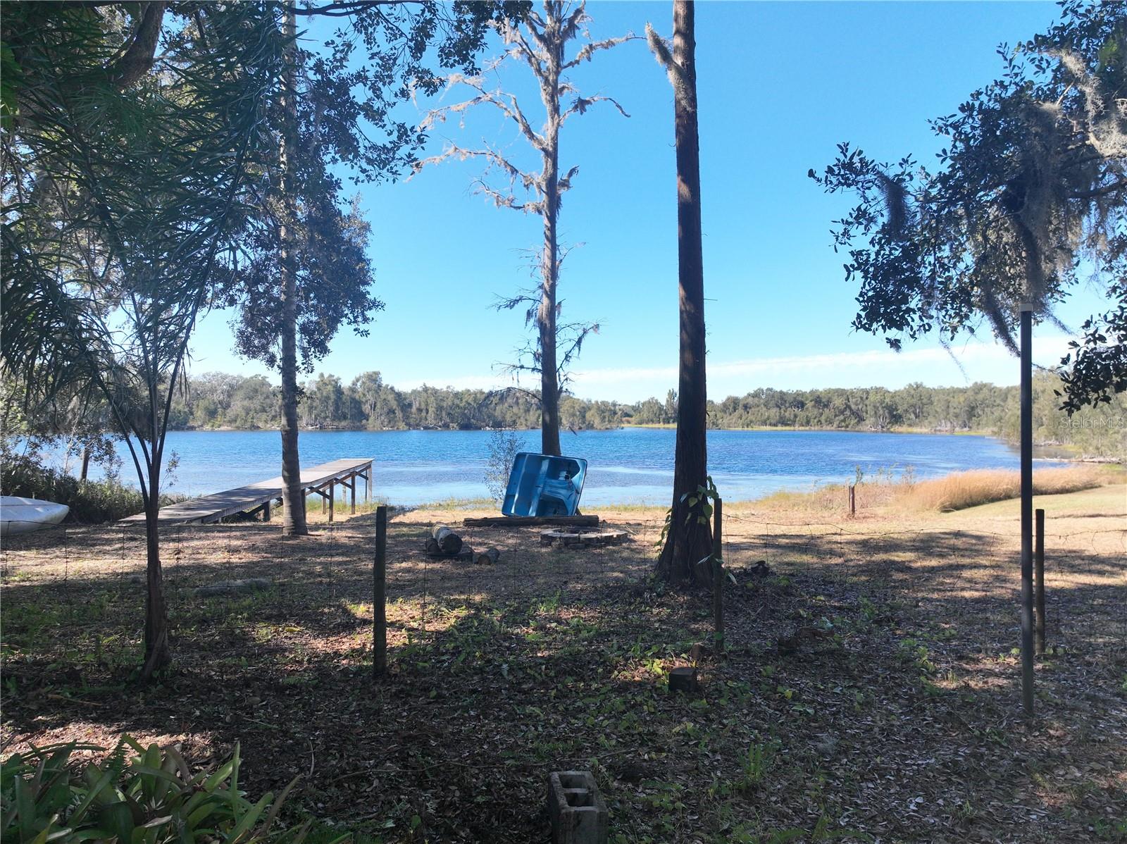 9906 GUNN HWY, ODESSA, FL — photo 38