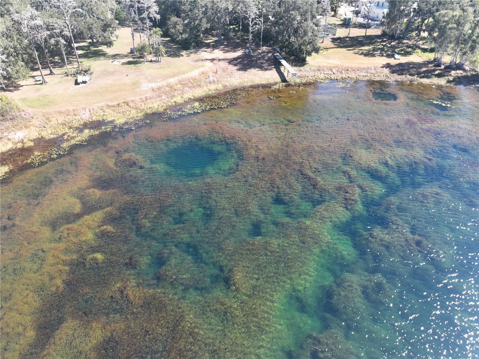 9906 GUNN HWY, ODESSA, FL — photo 41