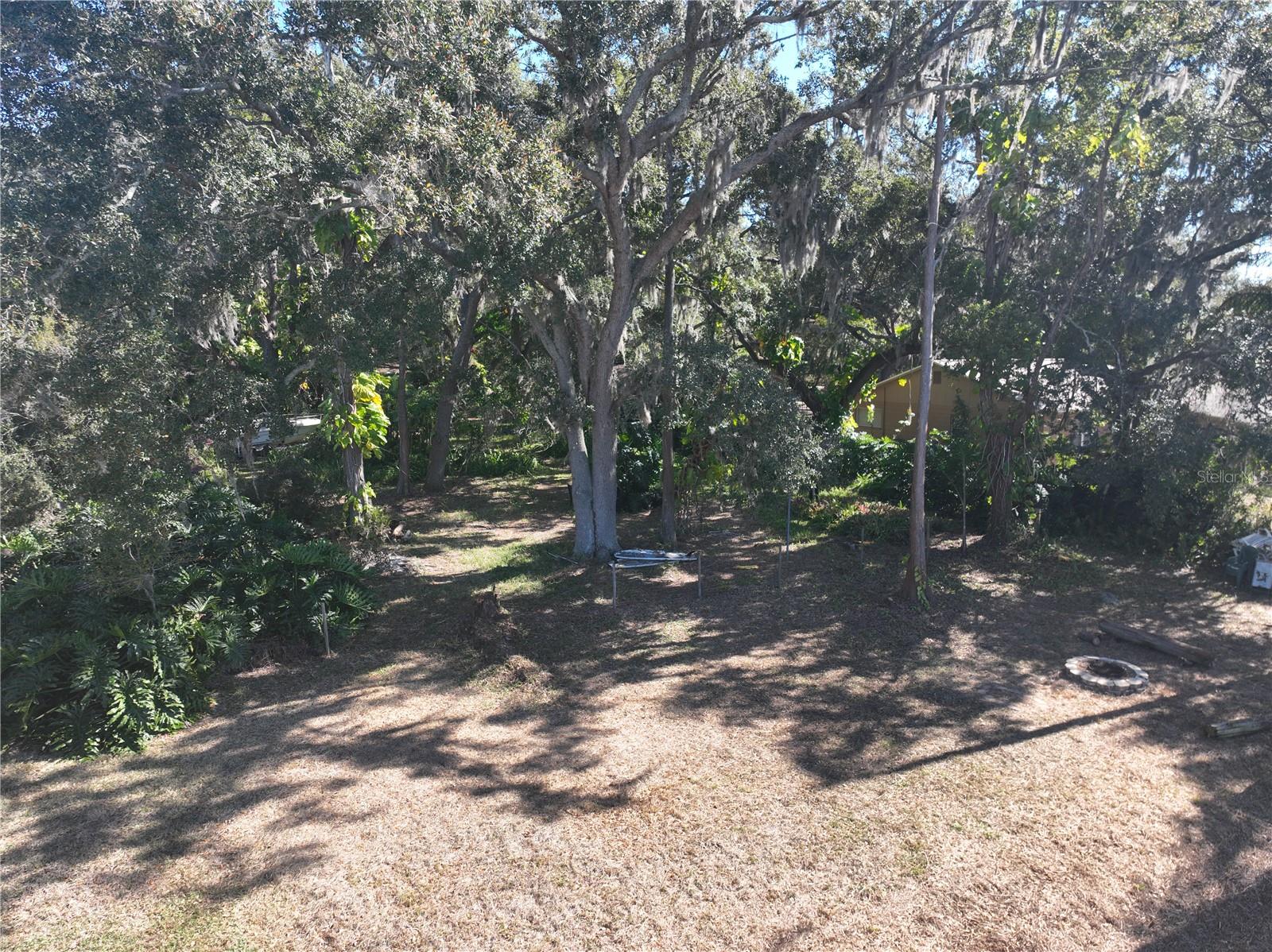 9906 GUNN HWY, ODESSA, FL — photo 45