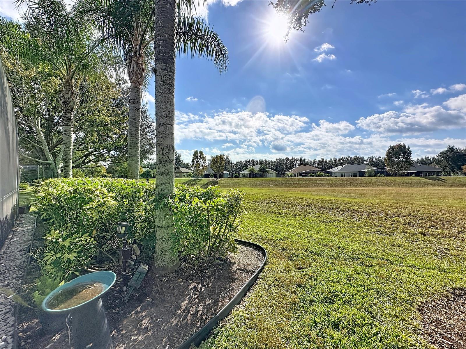 146 CREPE MYRTLE DR, GROVELAND, FL — photo 101