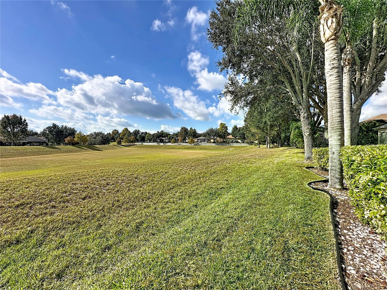 146 CREPE MYRTLE DR, GROVELAND, FL — photo 103