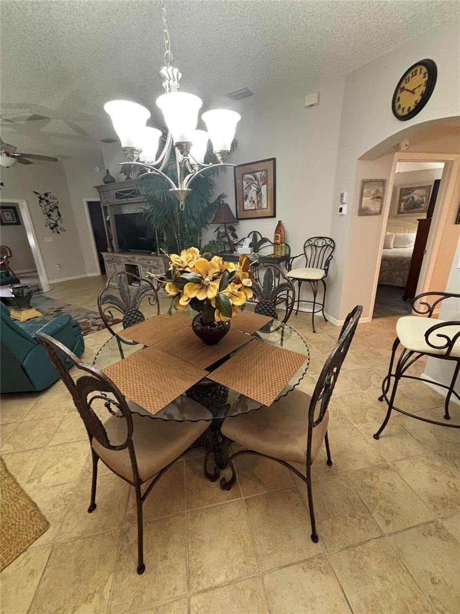 1069 BURNETTOWN PL, THE VILLAGES, FL — photo 8