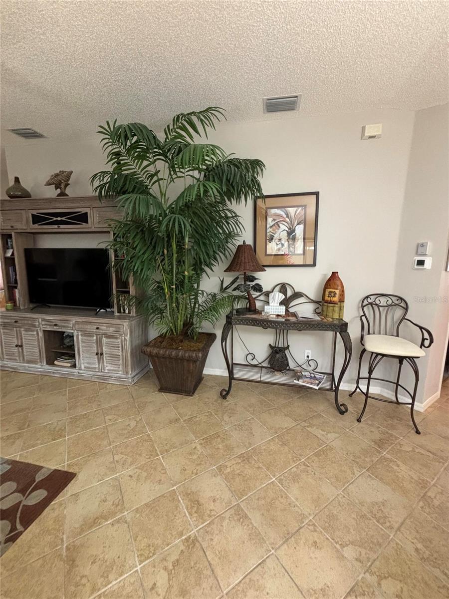 1069 BURNETTOWN PL, THE VILLAGES, FL — photo 10
