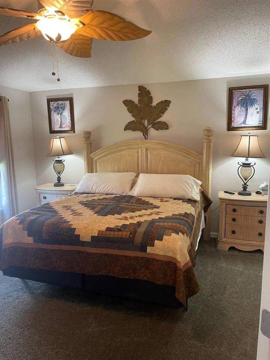 1069 BURNETTOWN PL, THE VILLAGES, FL — photo 14