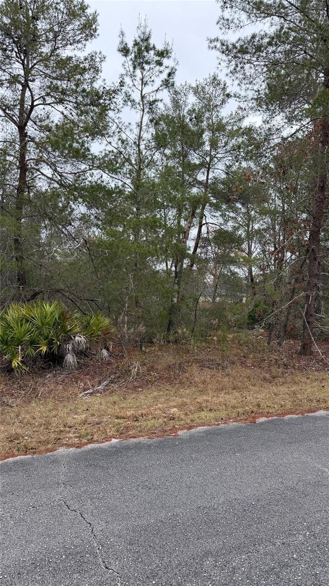 MALAUKA DR, OCKLAWAHA, FL — photo 2