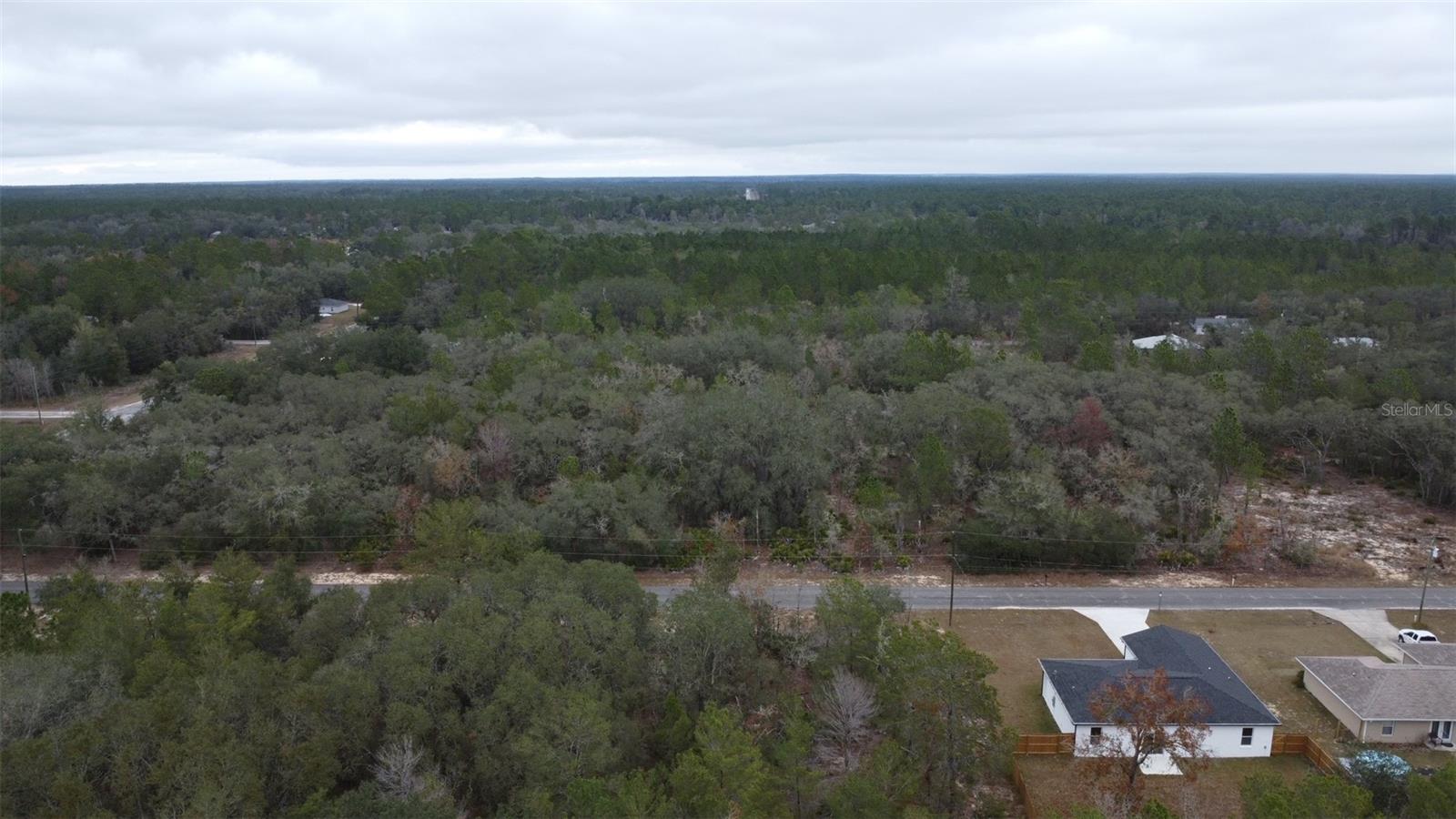 MALAUKA DR, OCKLAWAHA, FL — photo 4