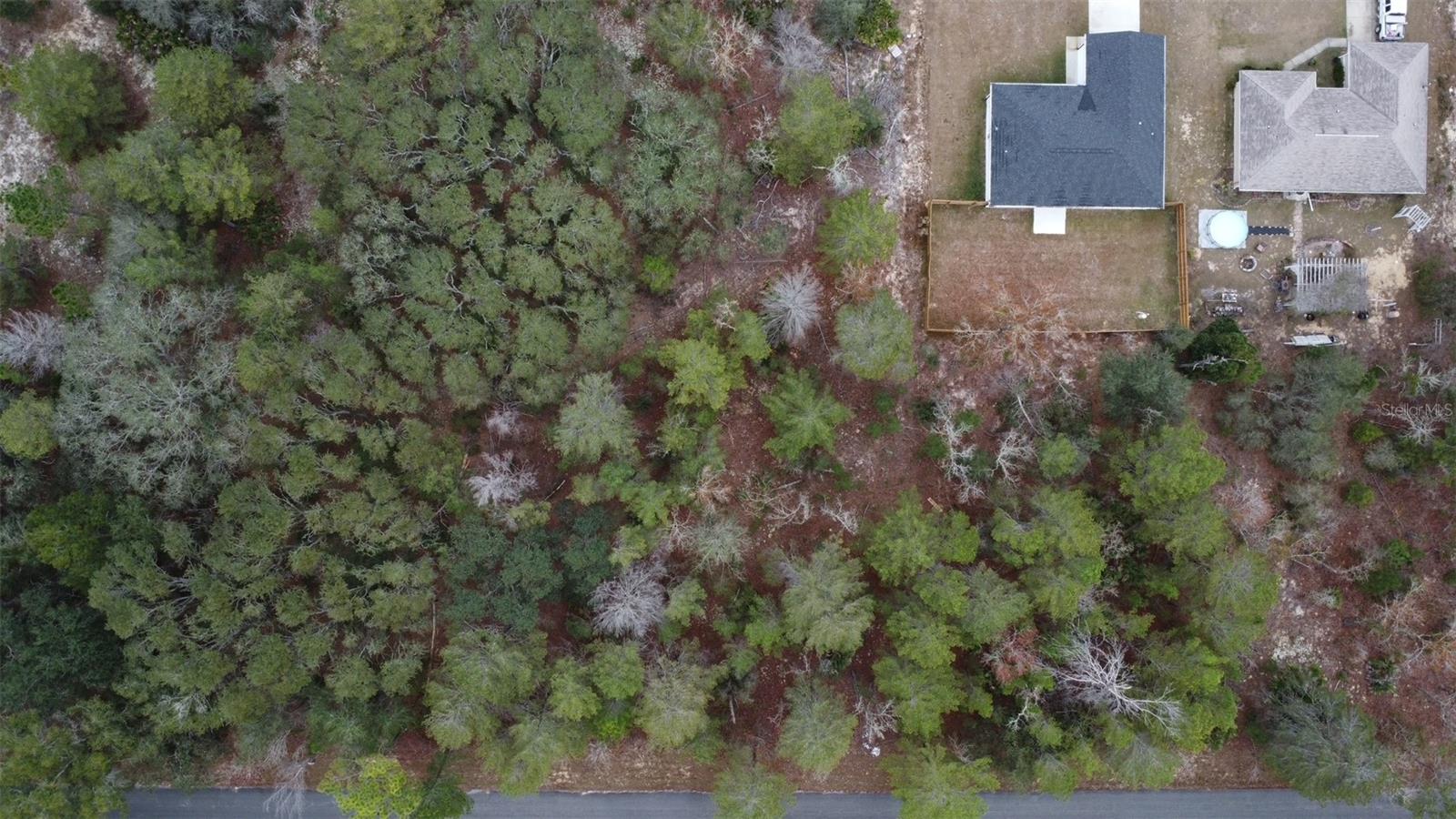 MALAUKA DR, OCKLAWAHA, FL — photo 5