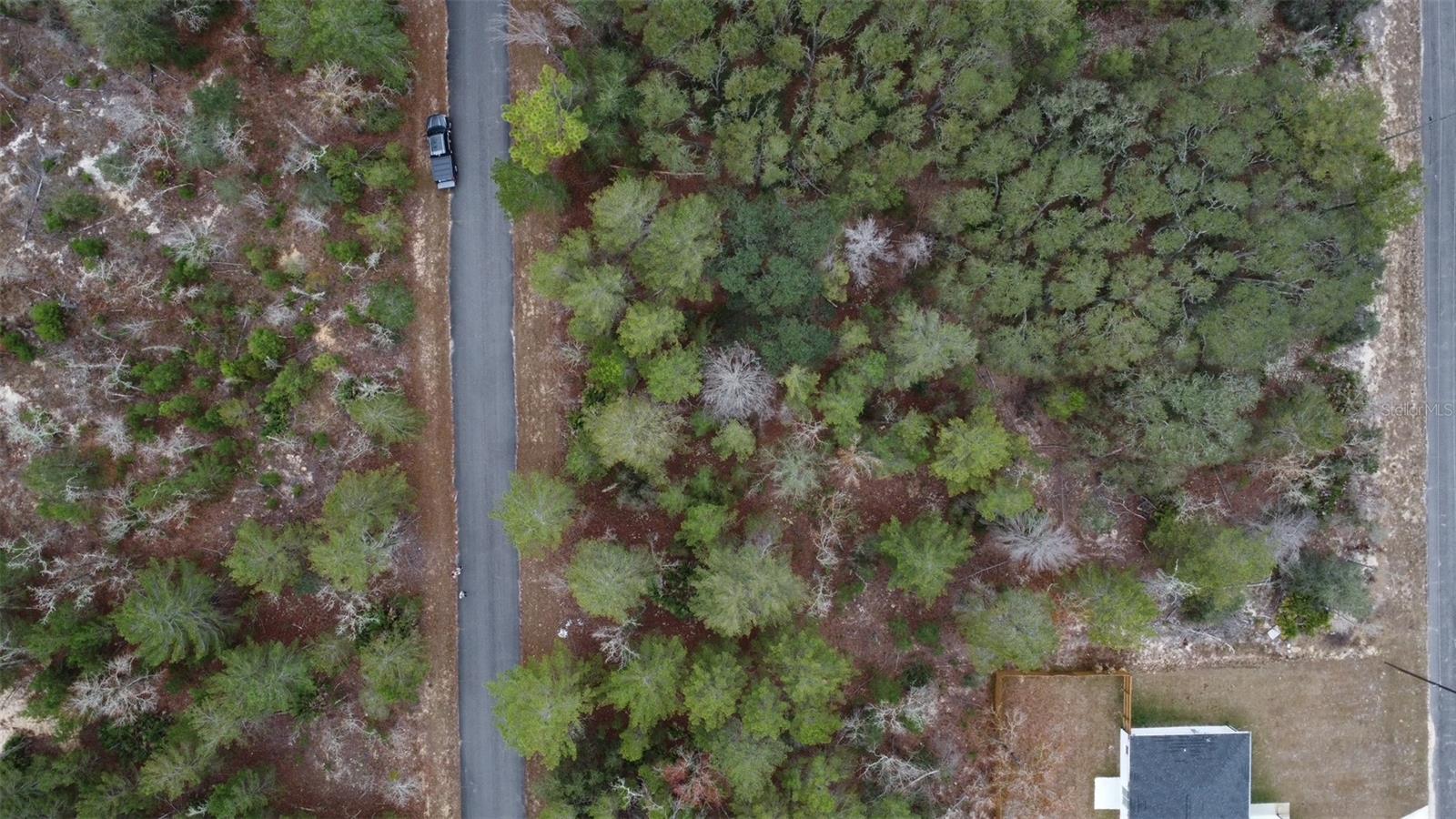 MALAUKA DR, OCKLAWAHA, FL — photo 6