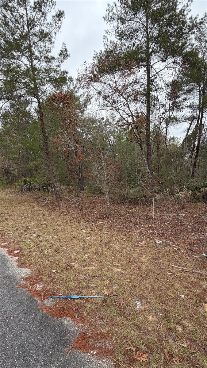 MALAUKA DR, OCKLAWAHA, FL — photo 7