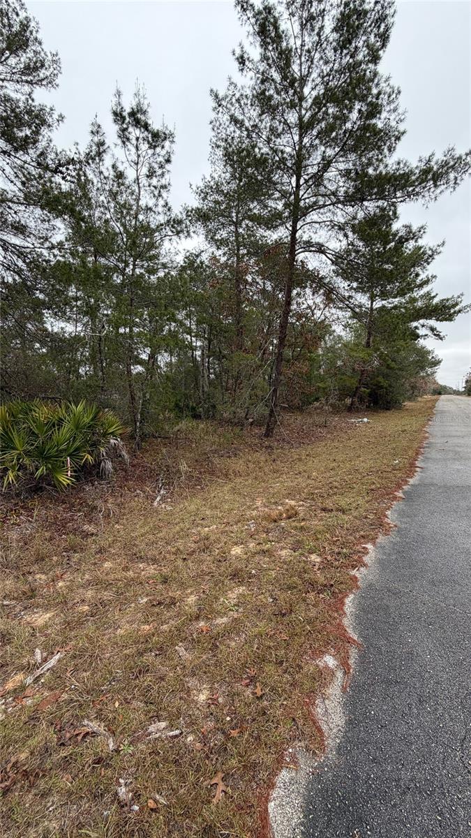 MALAUKA DR, OCKLAWAHA, FL — photo 8