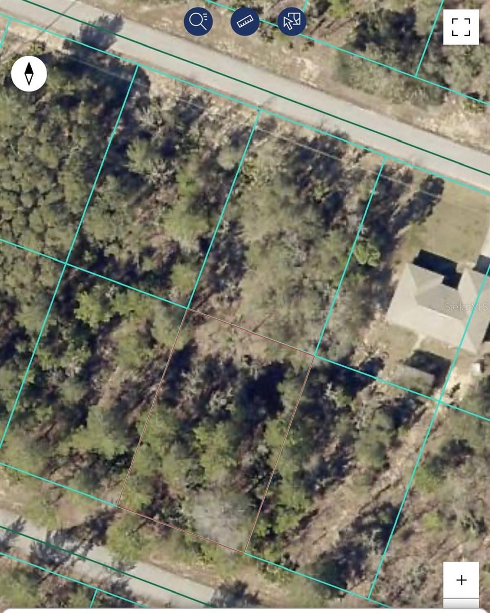 MALAUKA DR, OCKLAWAHA, FL — photo 9
