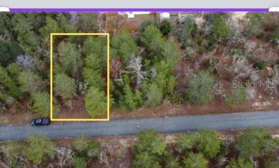 MALAUKA DR, OCKLAWAHA, FL