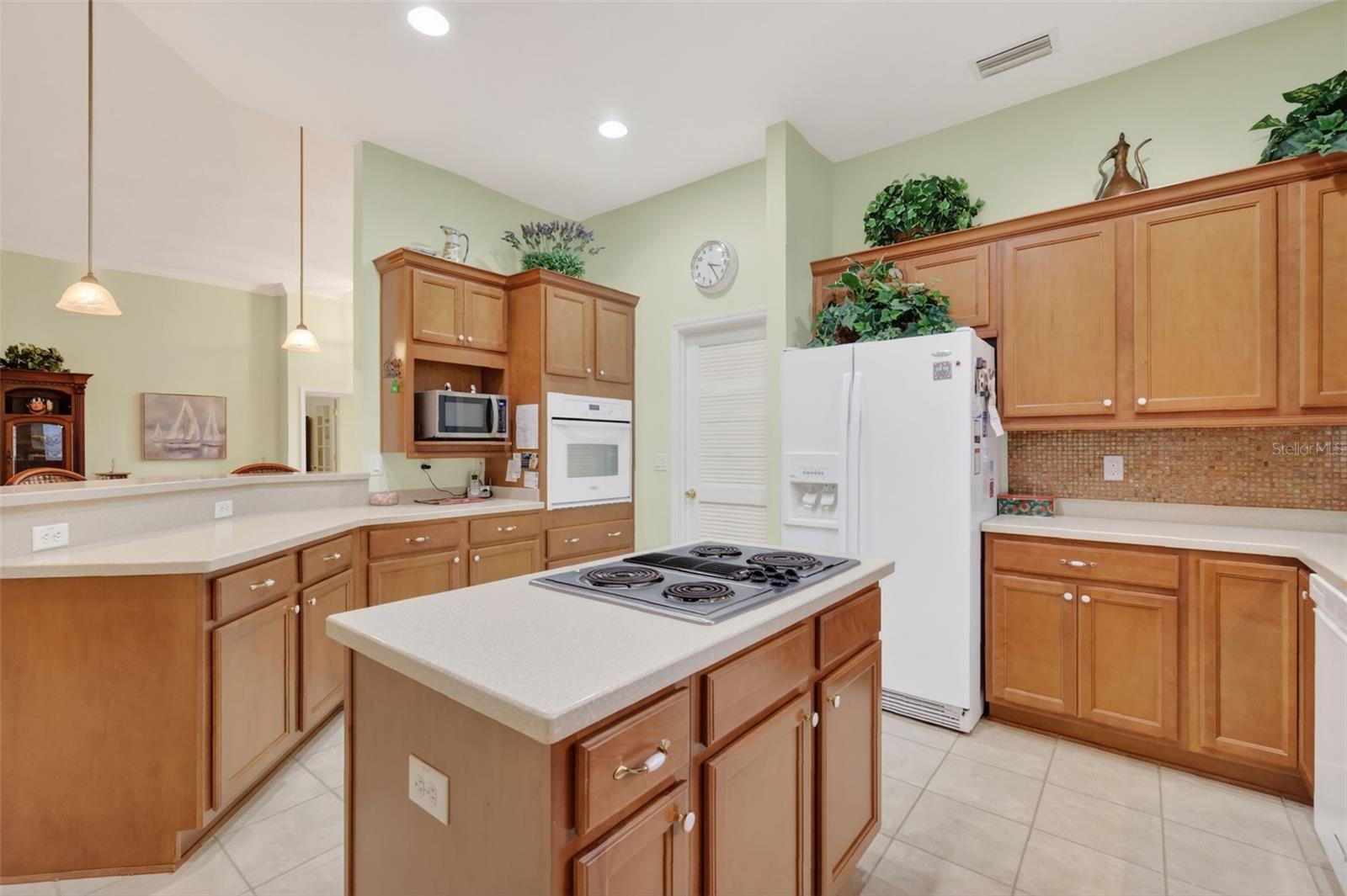 3054 NEW HAVEN PL, MOUNT DORA, FL — photo 43