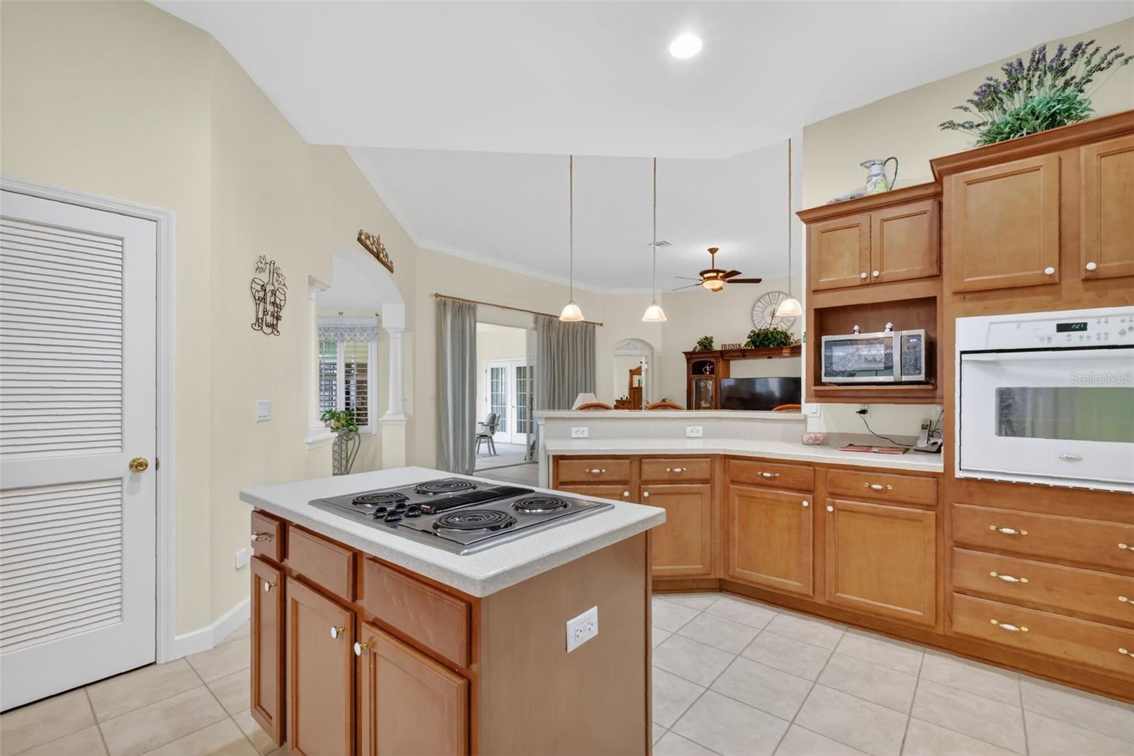 3054 NEW HAVEN PL, MOUNT DORA, FL — photo 46