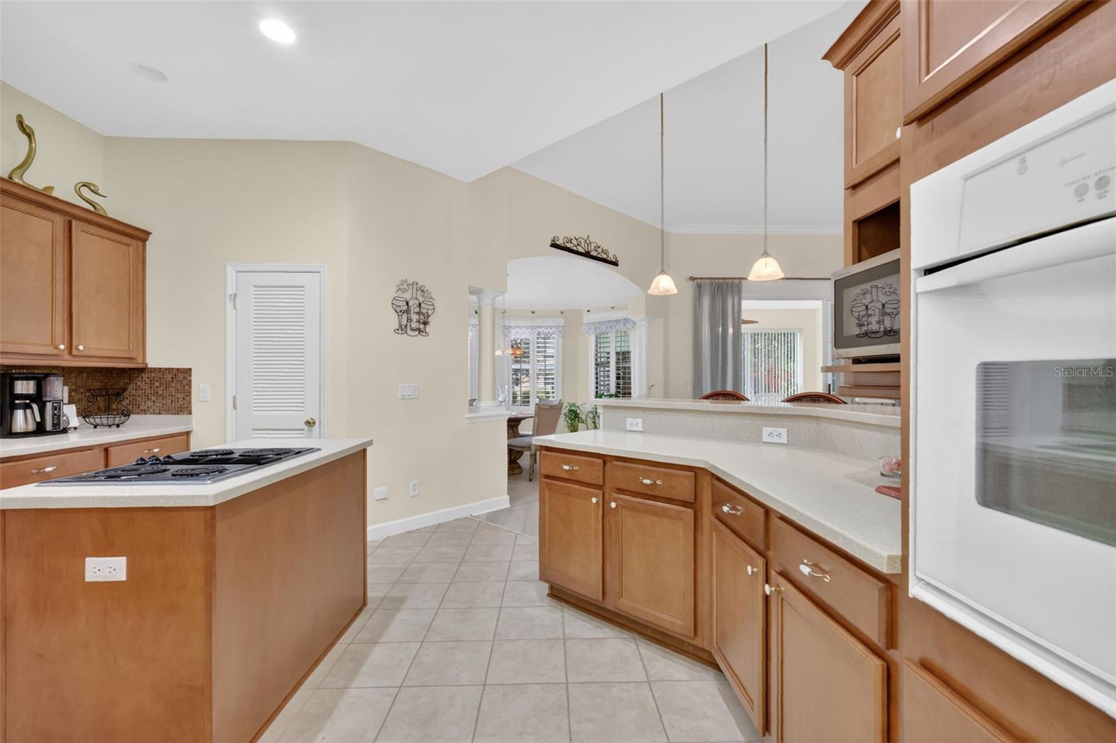 3054 NEW HAVEN PL, MOUNT DORA, FL — photo 48