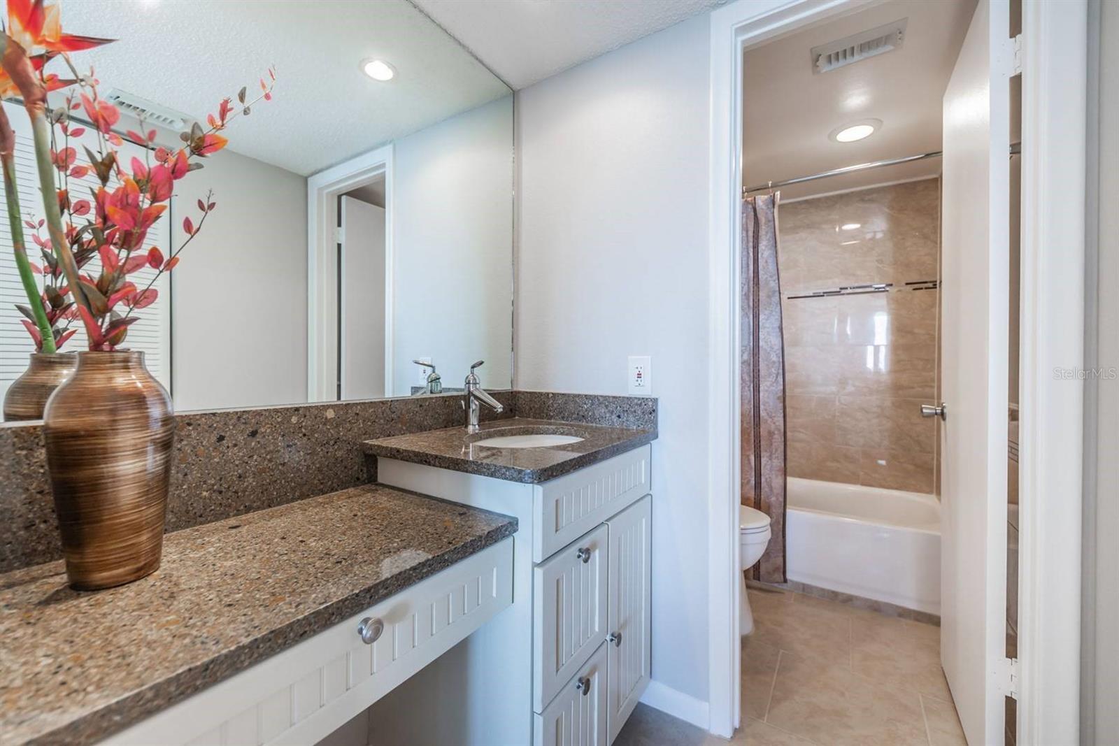 6219 PALMA BLVD S #305, ST PETERSBURG, FL — photo 10
