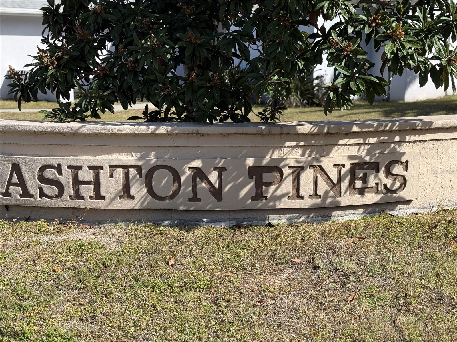 5295 ASHTON PINES LN, SARASOTA, FL — photo 19