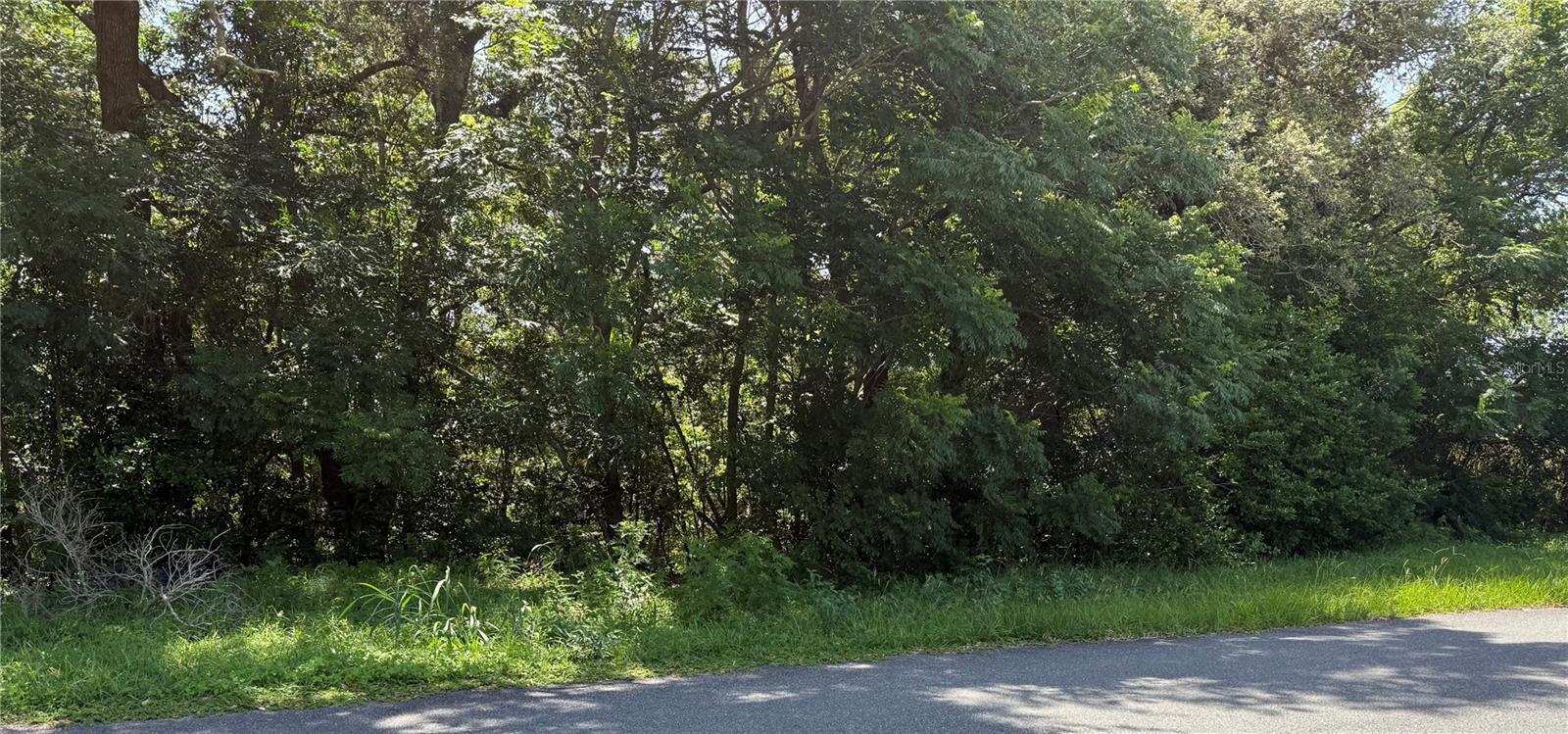HUTCHINSON WAY, LADY LAKE, FL