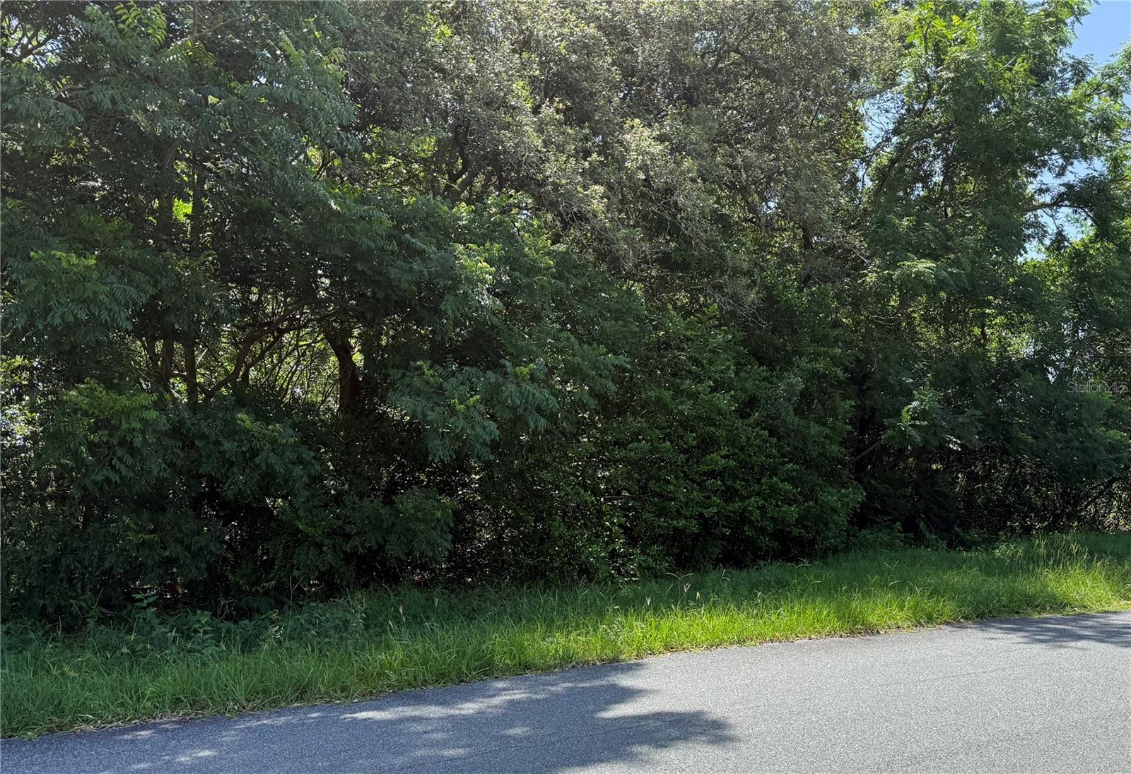 HUTCHINSON WAY, LADY LAKE, FL — photo 3
