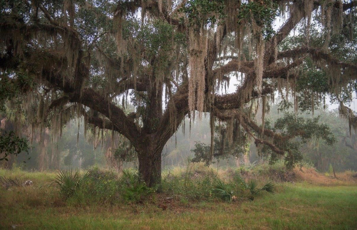 1061 HARRIS RD, ARCADIA, FL — photo 34