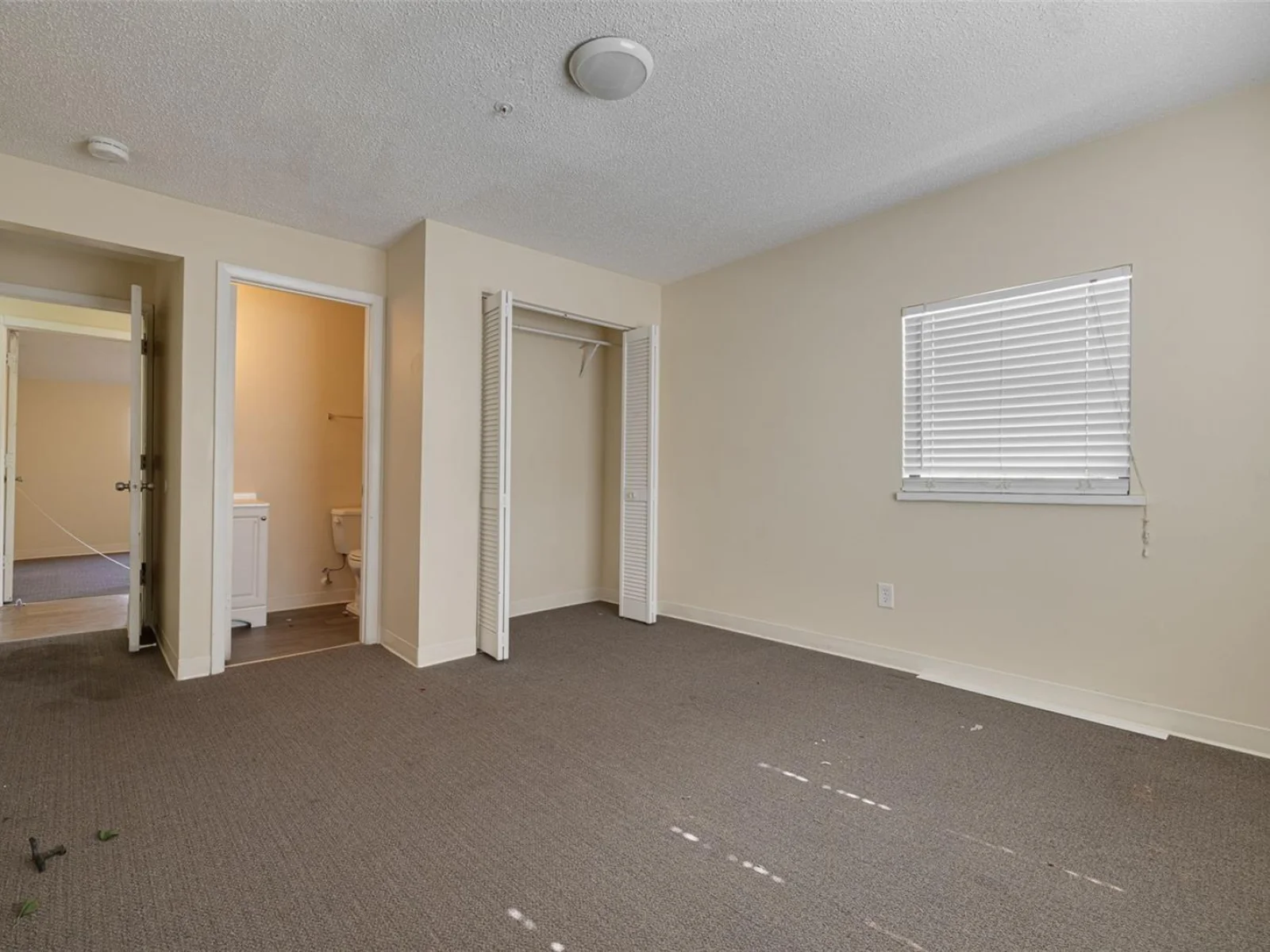 220 SCOTLAND ST, DUNEDIN, FL — photo 69