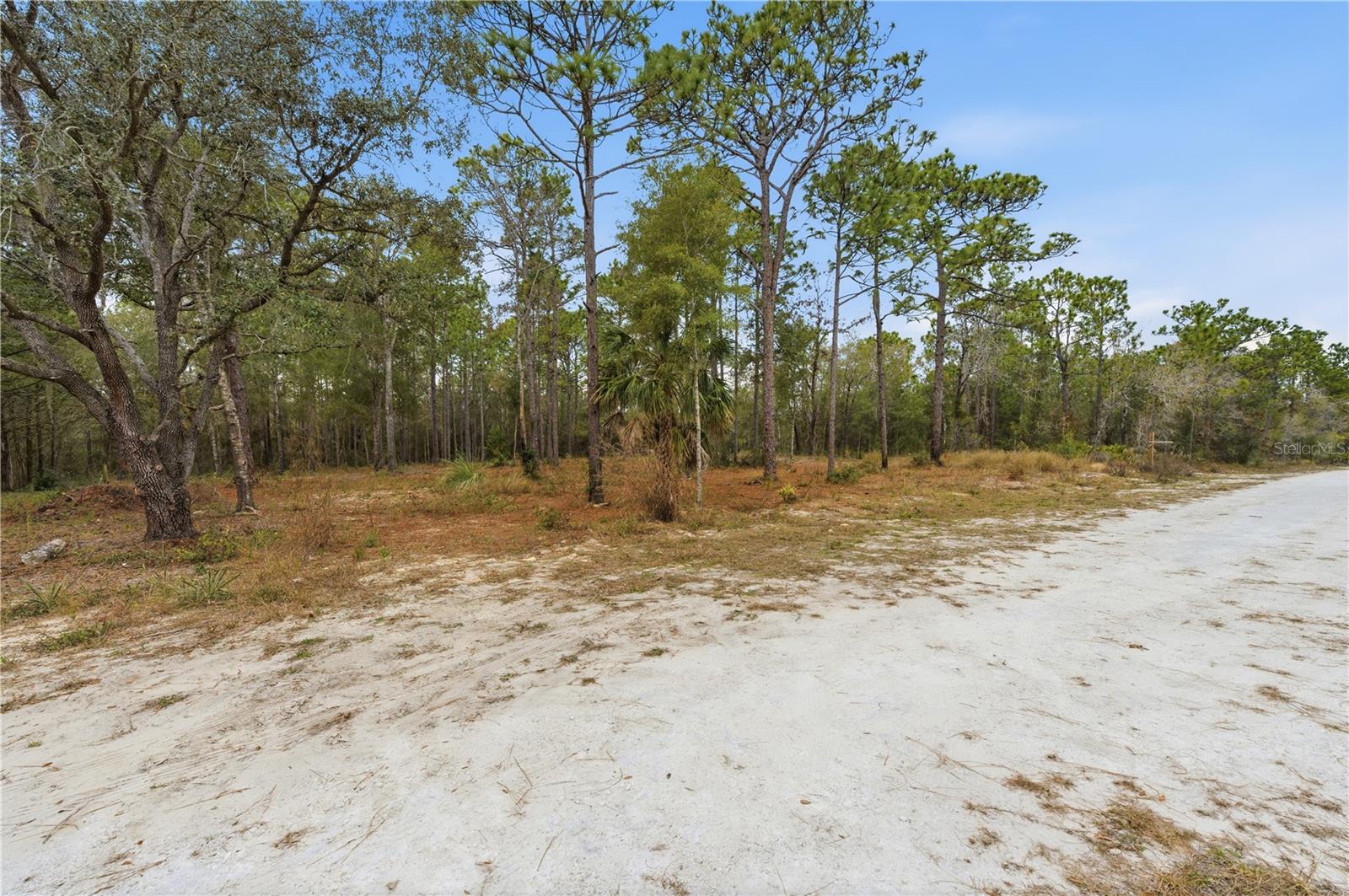 CORMORANT RD, WEEKI WACHEE, FL — photo 11