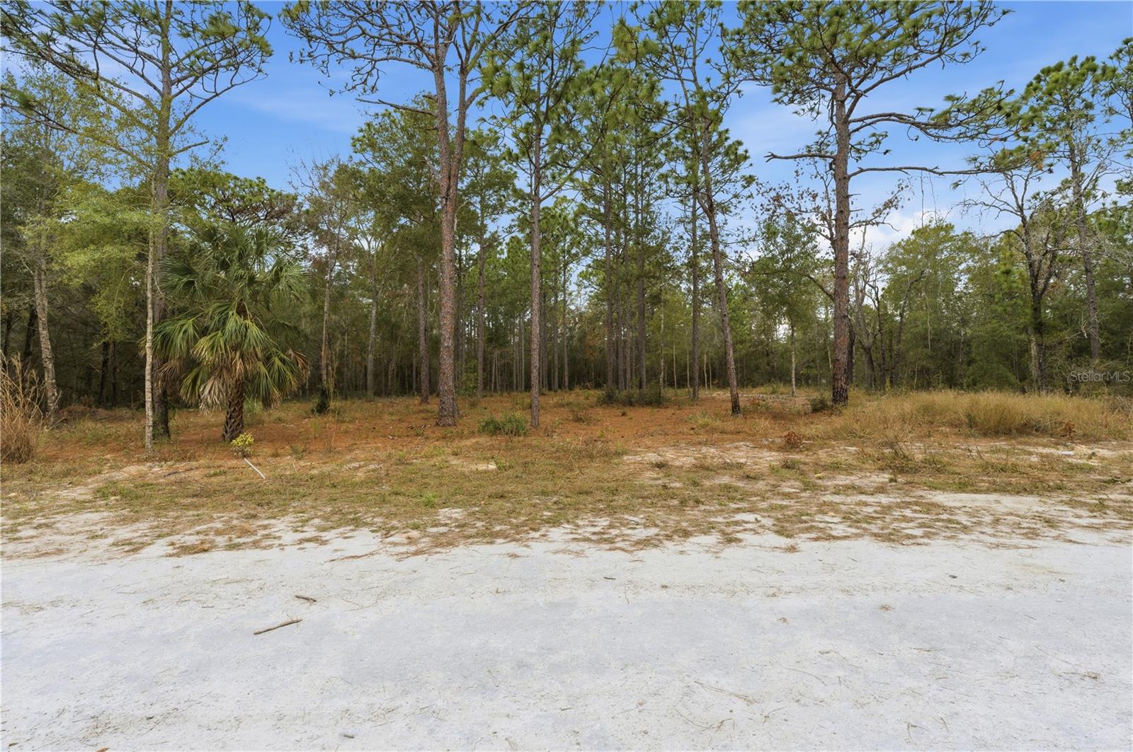 CORMORANT RD, WEEKI WACHEE, FL — photo 14