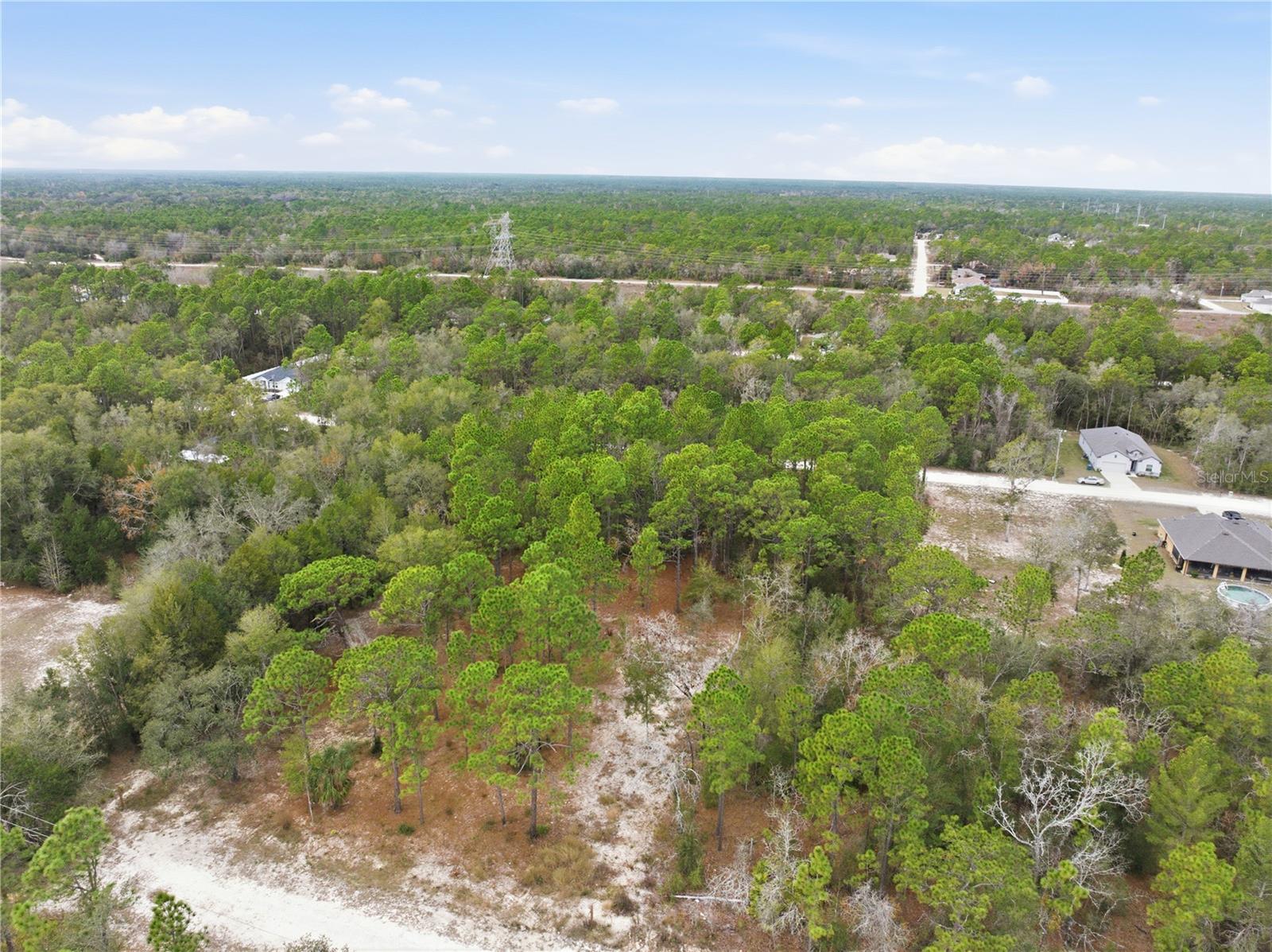 CORMORANT RD, WEEKI WACHEE, FL — photo 22