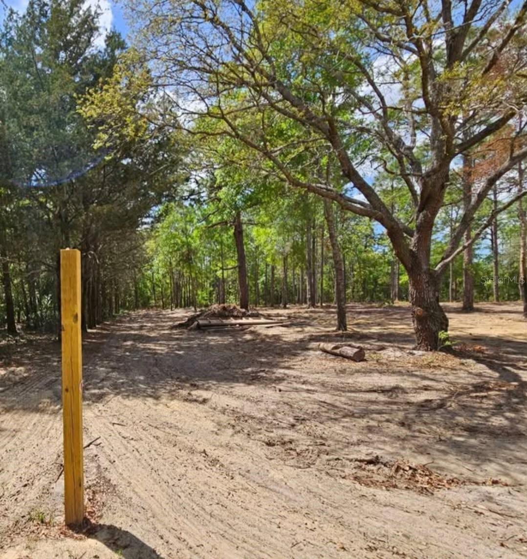CORMORANT RD, WEEKI WACHEE, FL — photo 3