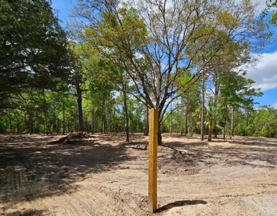 CORMORANT RD, WEEKI WACHEE, FL — photo 4
