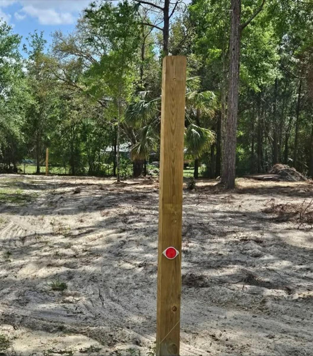 CORMORANT RD, WEEKI WACHEE, FL — photo 7