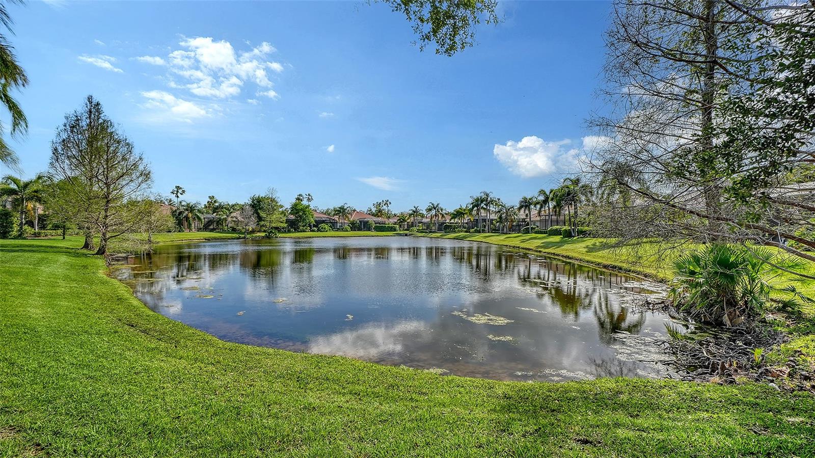13911 SIENA LOOP, LAKEWOOD RANCH, FL — photo 67