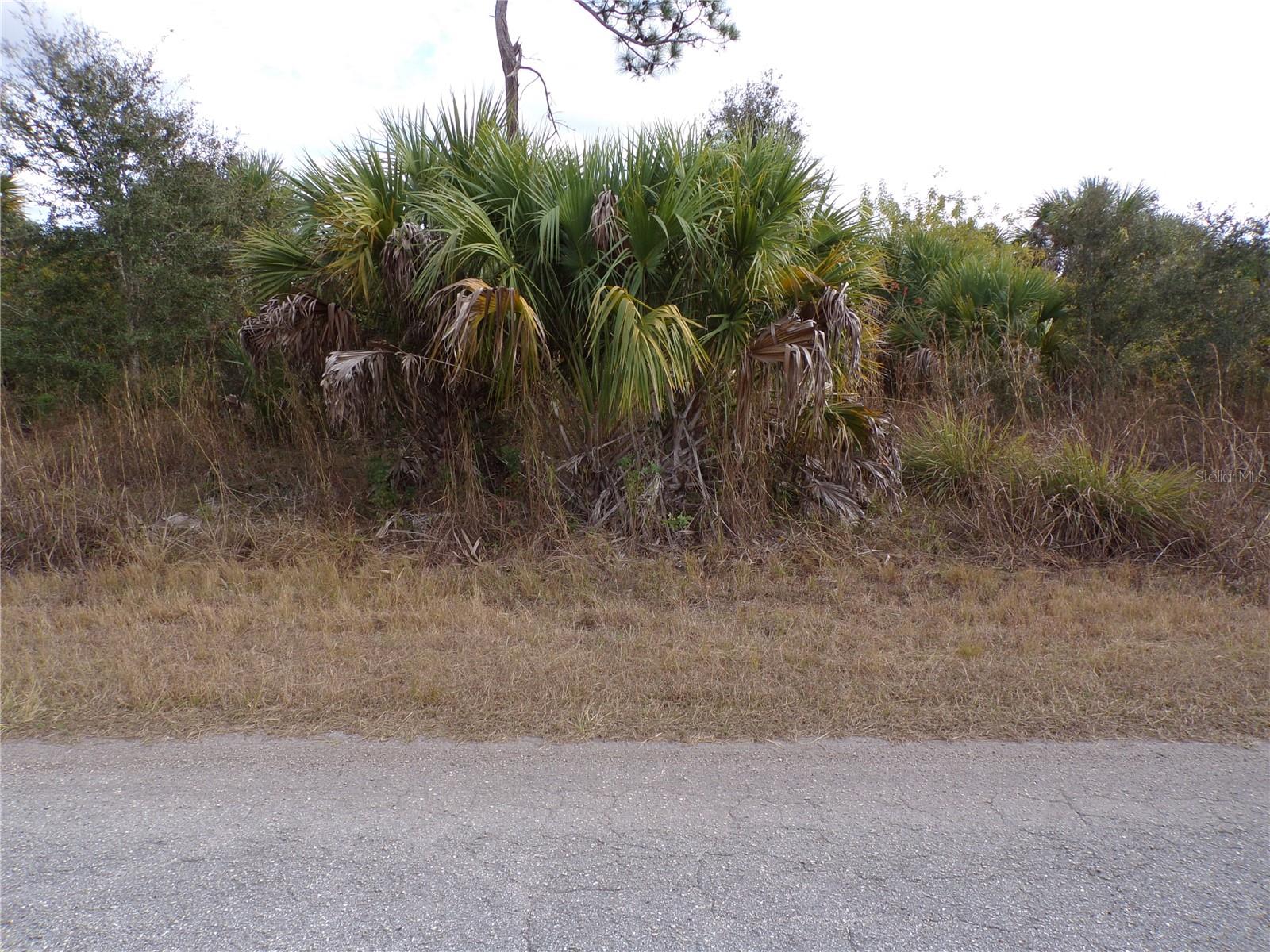 SILVERLEAF RD, NORTH PORT, FL