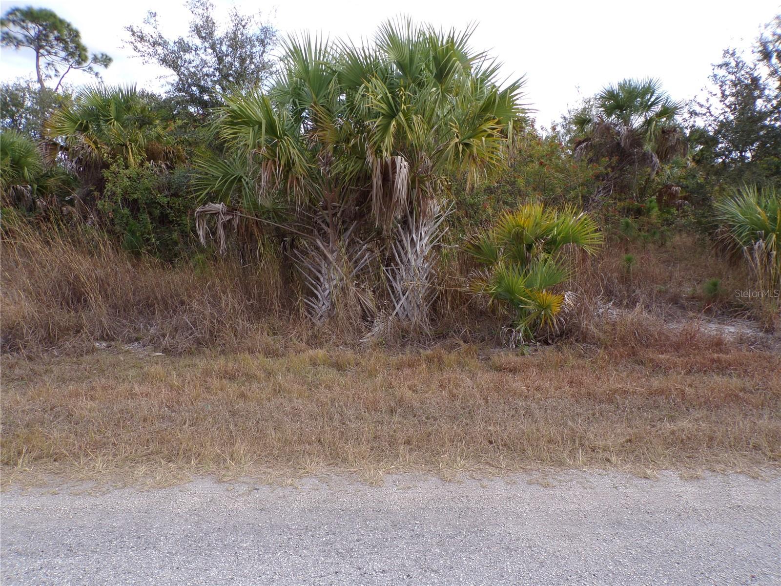 SILVERLEAF RD, NORTH PORT, FL — photo 3