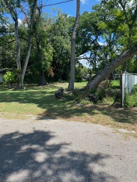 3100 EUNICE AVE, ORLANDO, FL — photo 2