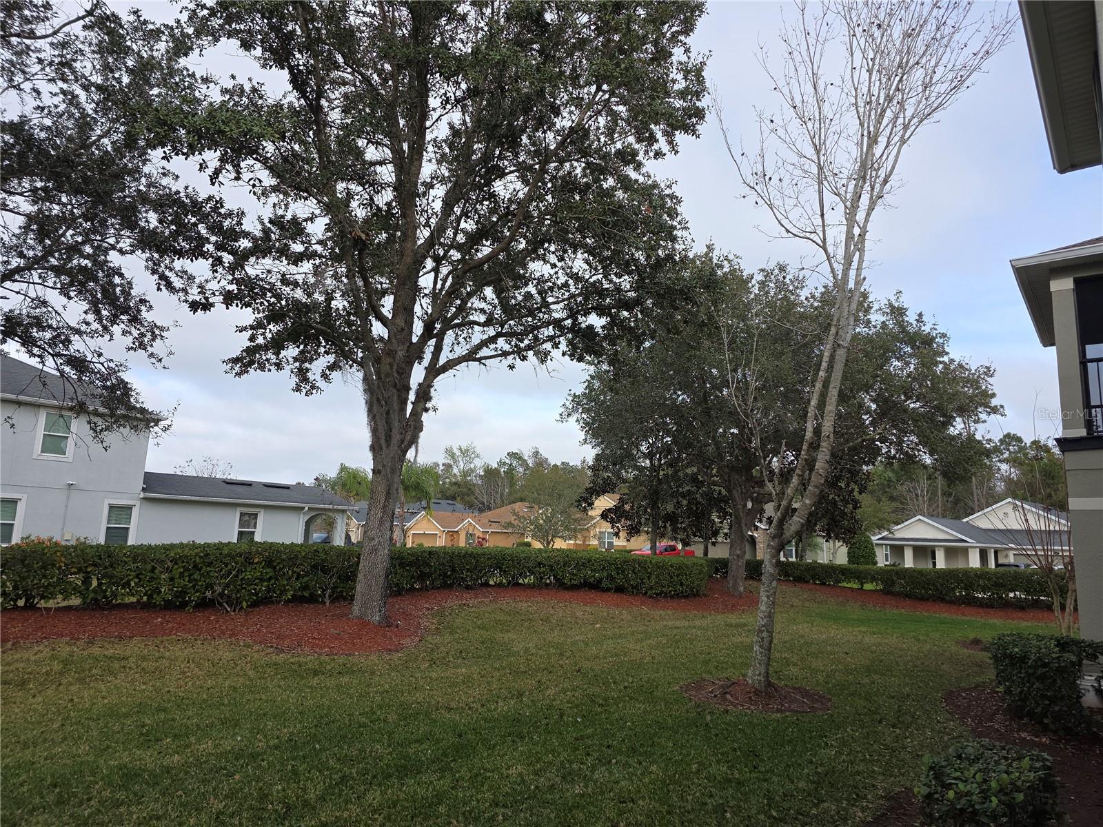 104 KELLY THOMAS WAY, DAYTONA BEACH, FL — photo 35