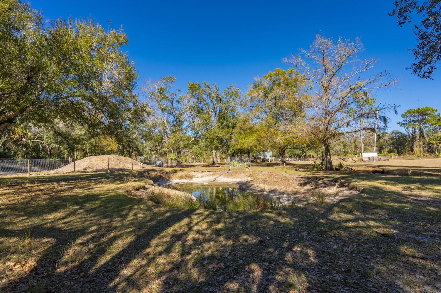 2207 SW BLOSSOM AVE, ARCADIA, FL — photo 22