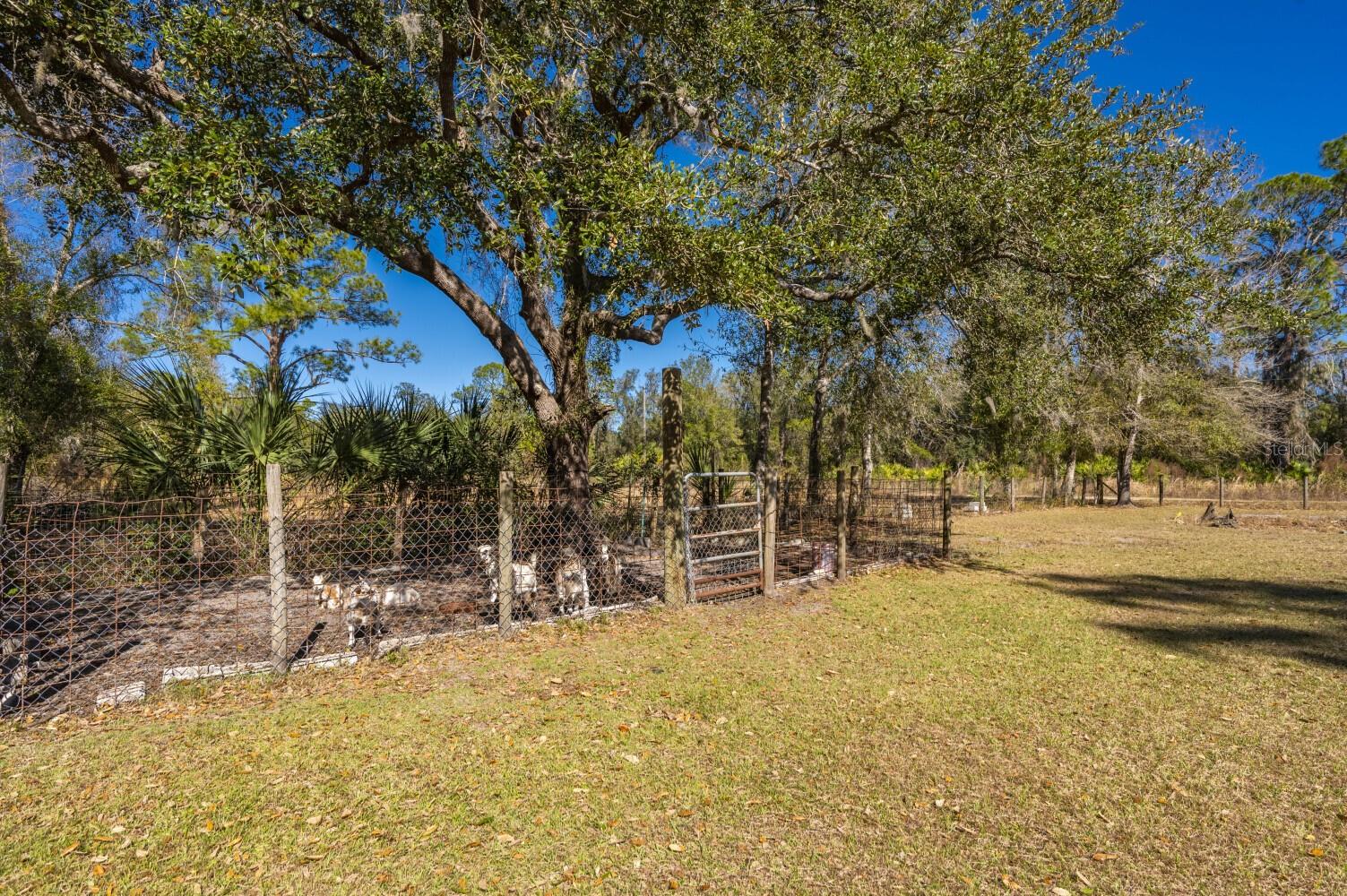 2207 SW BLOSSOM AVE, ARCADIA, FL — photo 28