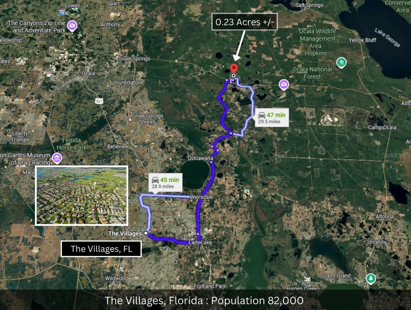 NE 165TH TER, SILVER SPRINGS, FL — photo 7