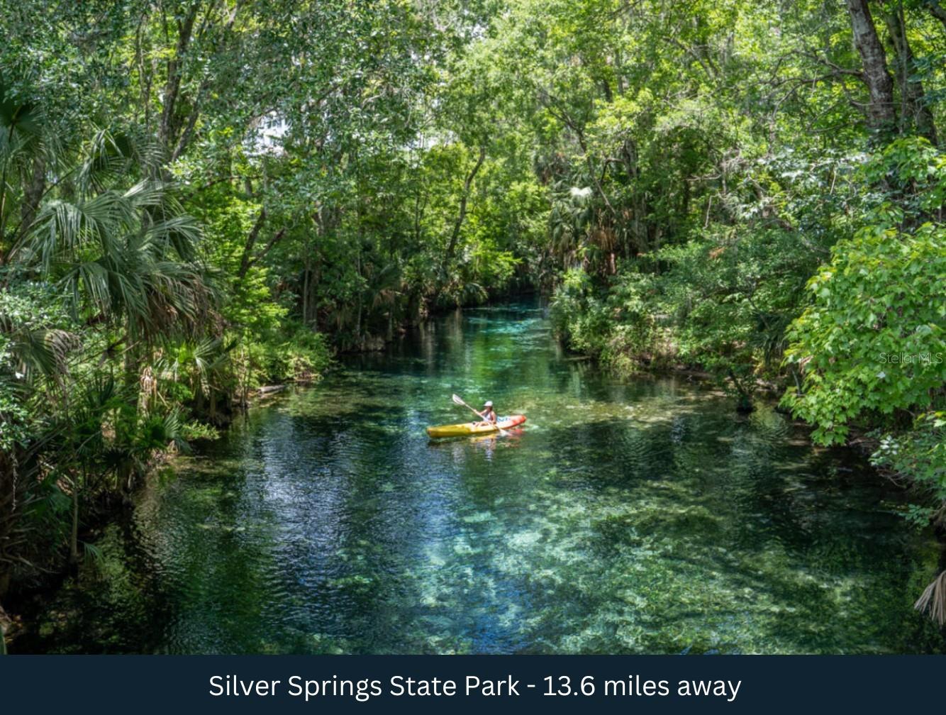 NE 165TH TER, SILVER SPRINGS, FL — photo 23