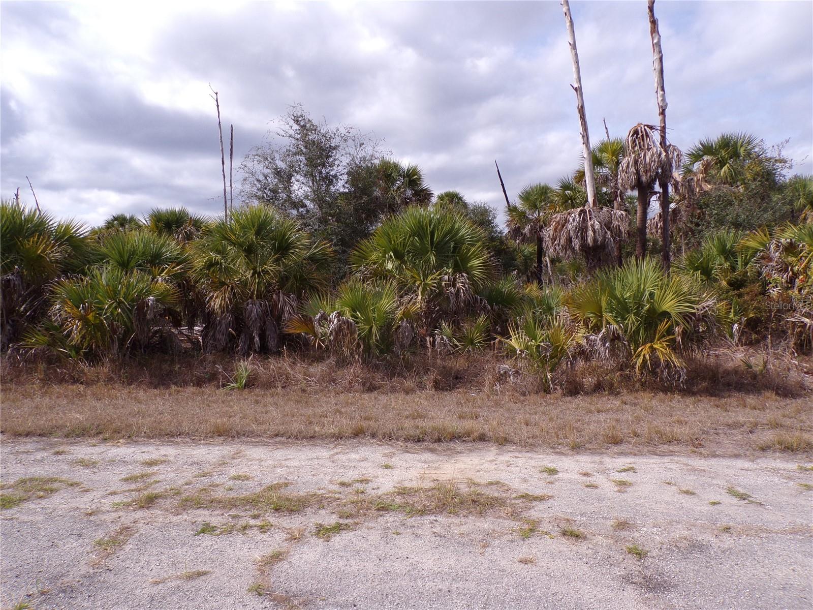 COPERNICUS RD, NORTH PORT, FL