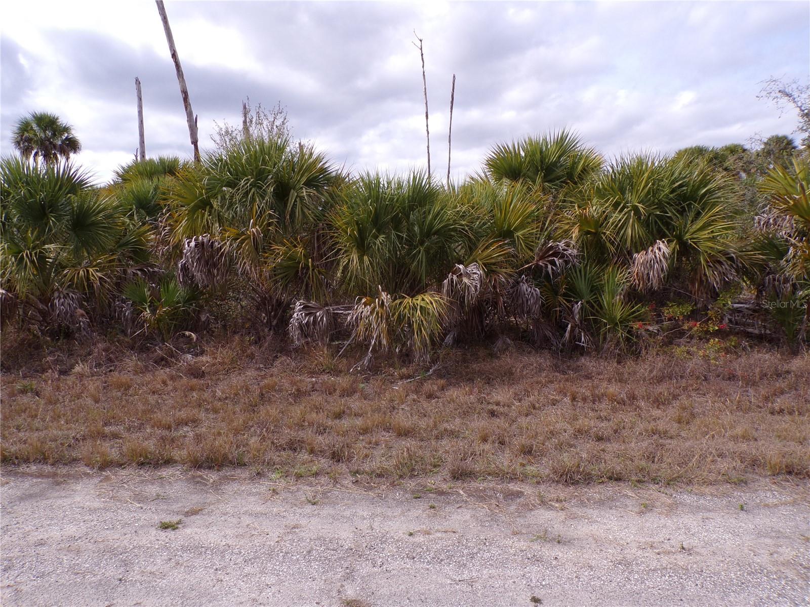 COPERNICUS RD, NORTH PORT, FL — photo 3