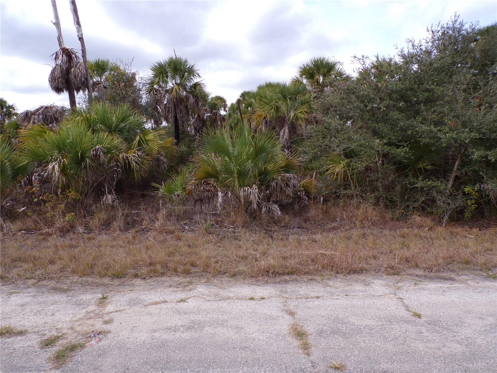 COPERNICUS RD, NORTH PORT, FL — photo 10