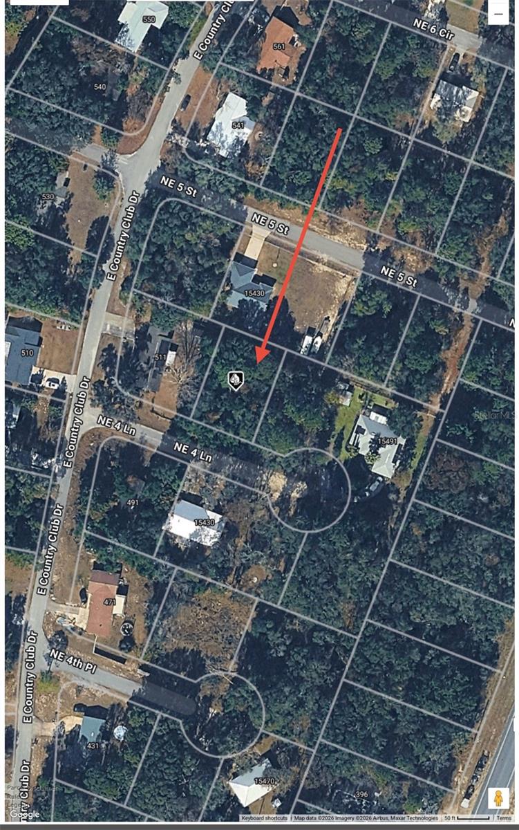 NE 4TH LN, WILLISTON, FL — photo 4