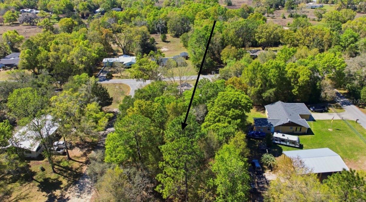 NE 4TH LN, WILLISTON, FL — photo 2